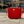 Caitie G Essential Bag - Smooth Red